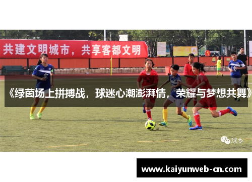 《绿茵场上拼搏战，球迷心潮澎湃情，荣耀与梦想共舞》